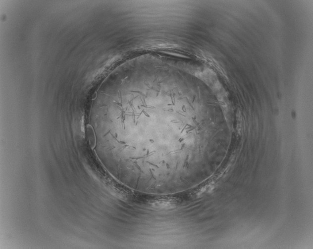 X0000072960358200608041158