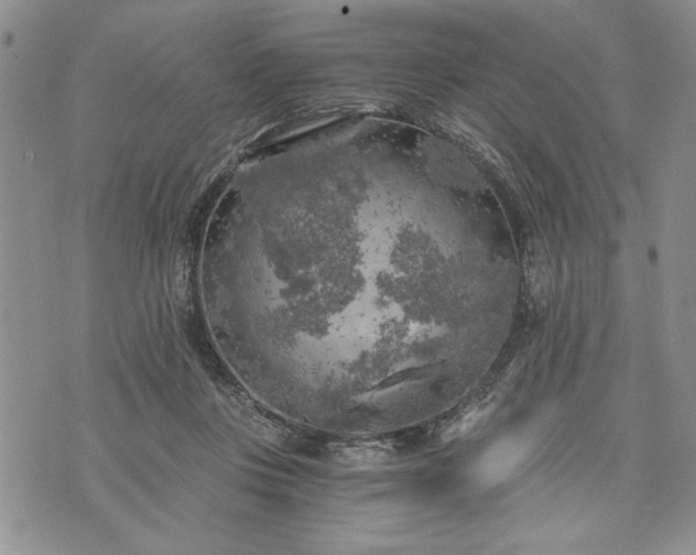 X0000072960359200608041158