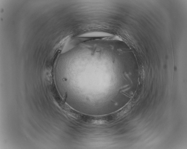 X0000072960360200608041159