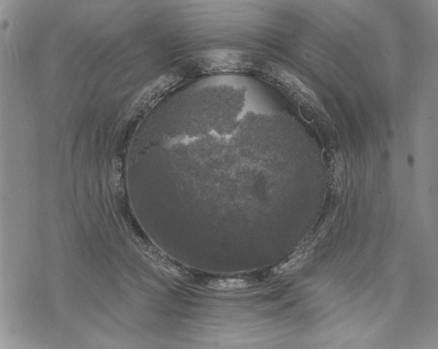 X0000072960361200608041159