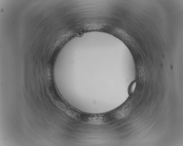 X0000072960362200608041159