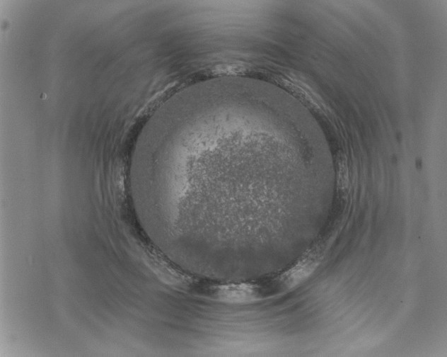 X0000072960363200608041159