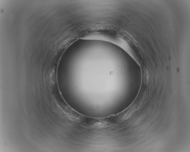 X0000072960364200608041159