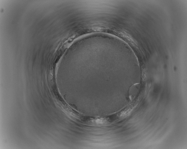 X0000072960365200608041159