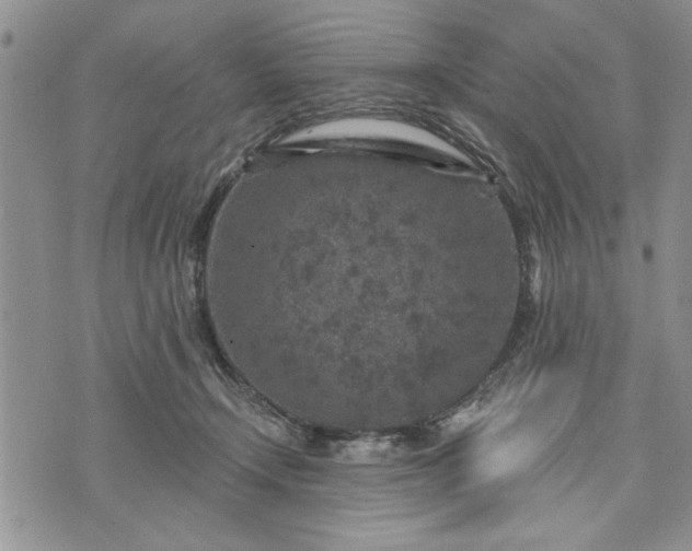 X0000072960366200608041159