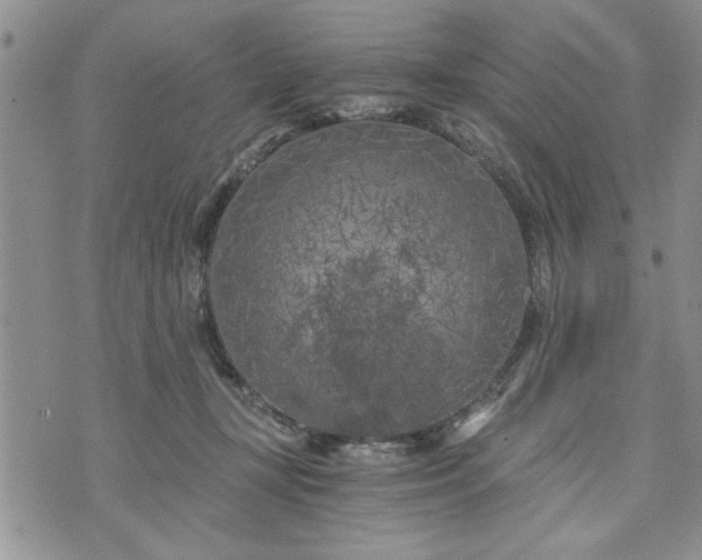 X0000072960367200608041159