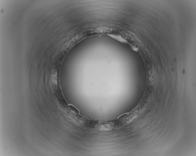 X0000072960368200608041159