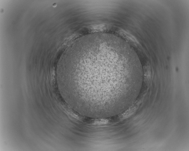 X0000072960369200608041159