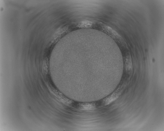 X0000072960370200608041159