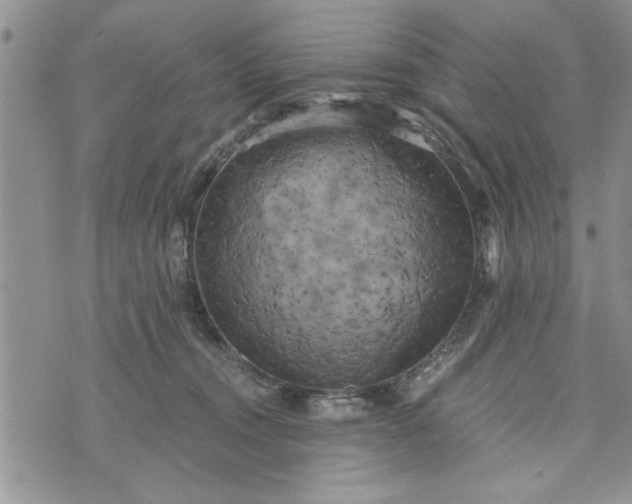 X0000072960372200608041159