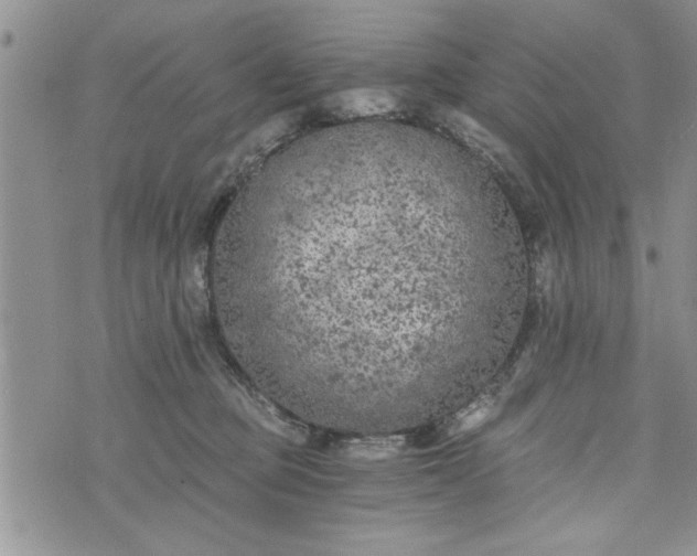 X0000072960373200608041159