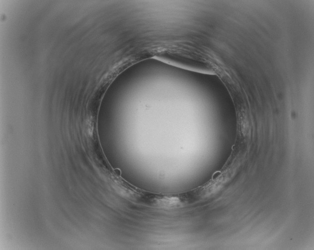 X0000072960374200608041159