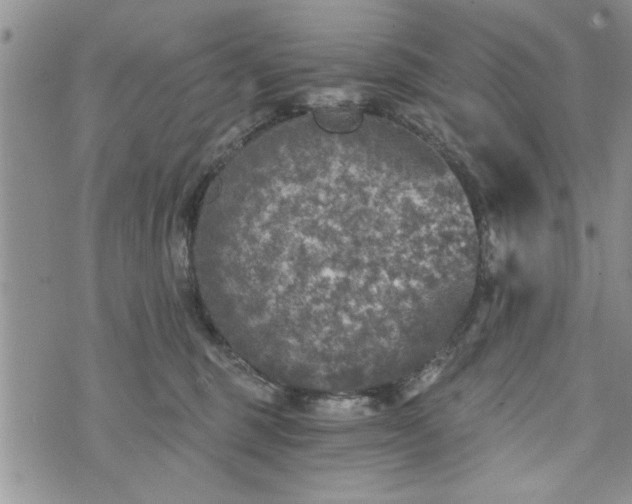 X0000072960375200608041159