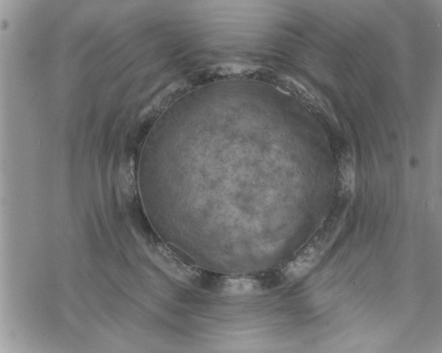 X0000072960376200608041159