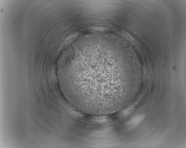 X0000072960377200608041159