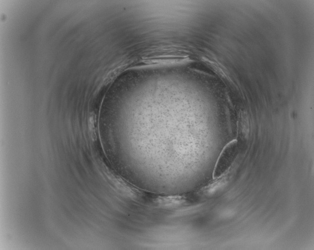 X0000072960378200608041159