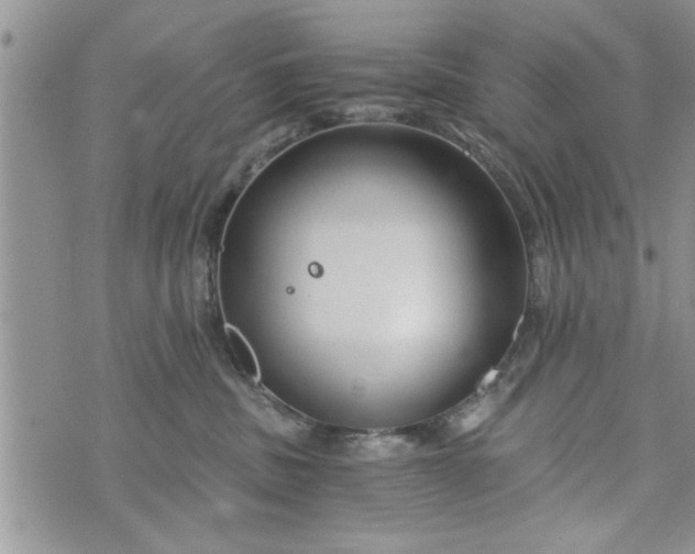 X0000072960379200608041159