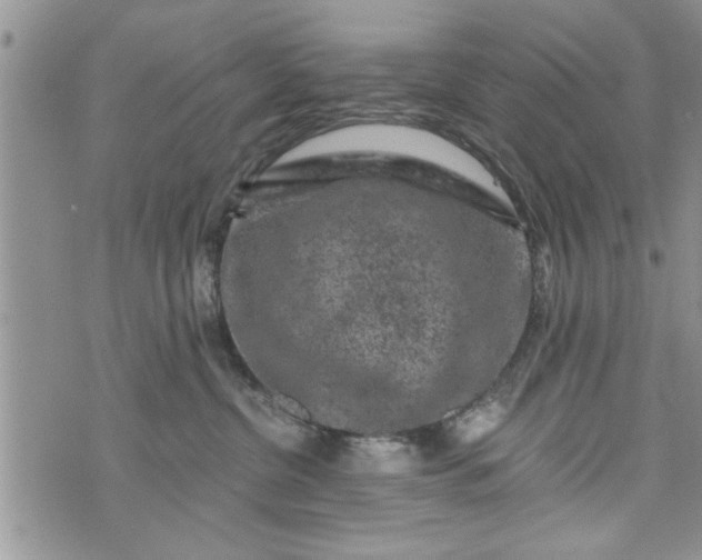 X0000072960380200608041159