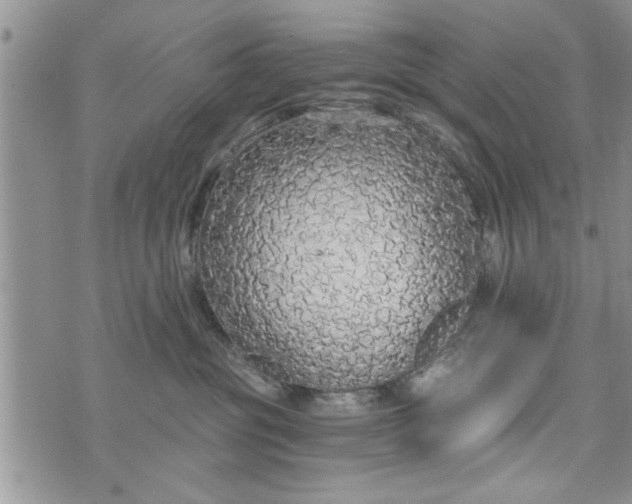 X0000072960381200608041159