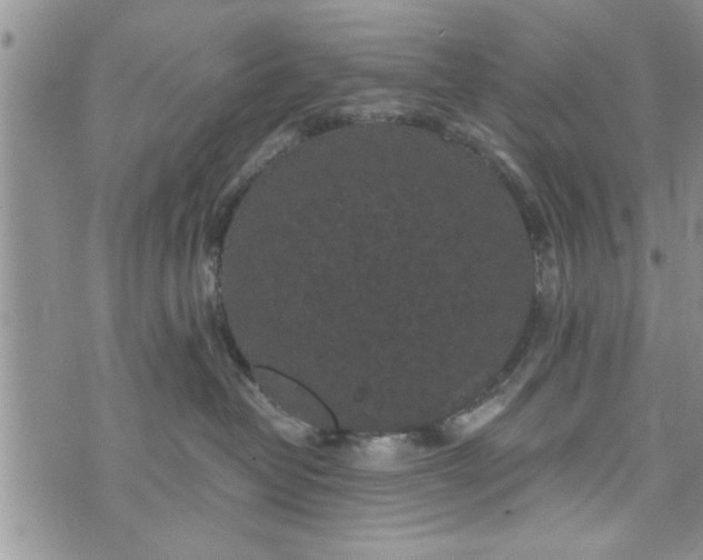 X0000072960382200608041159