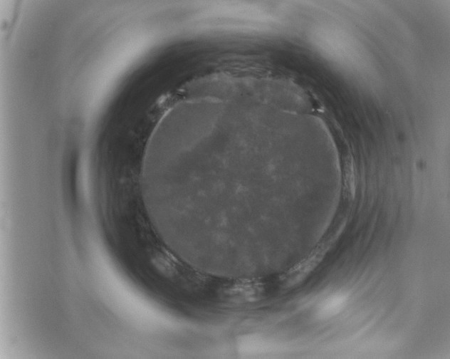 X0000072960383200608041159