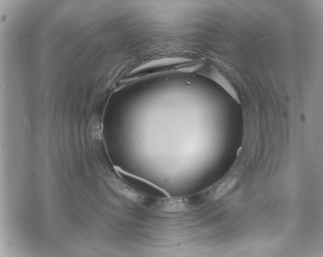 X0000072960384200608041159