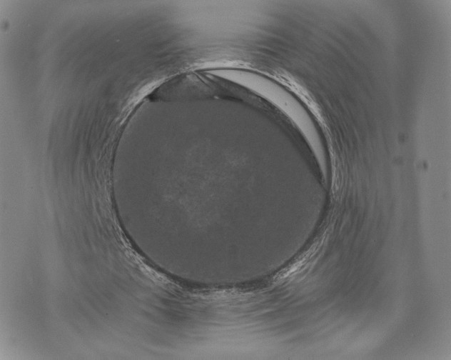 X0000072960385200608041158