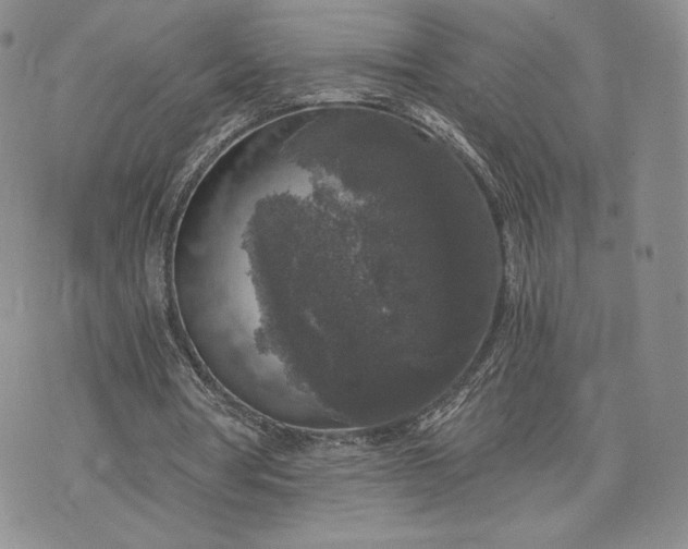 X0000072960386200608041158