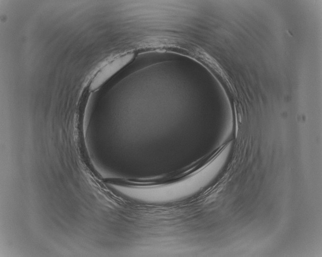 X0000072960387200608041158