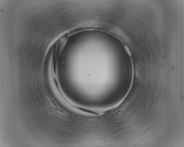 X0000072960388200608041158