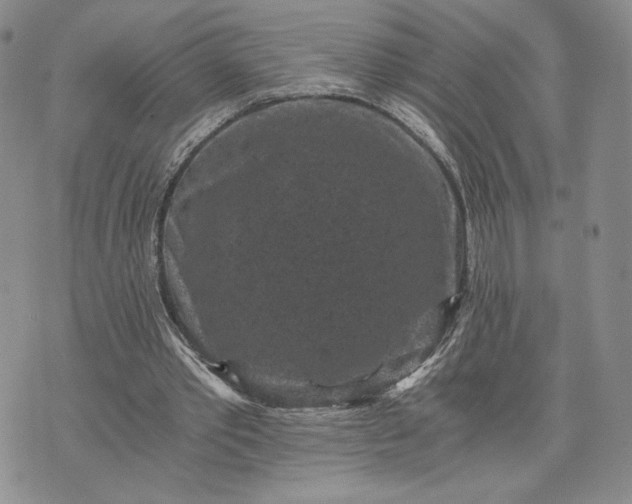 X0000072960389200608041158