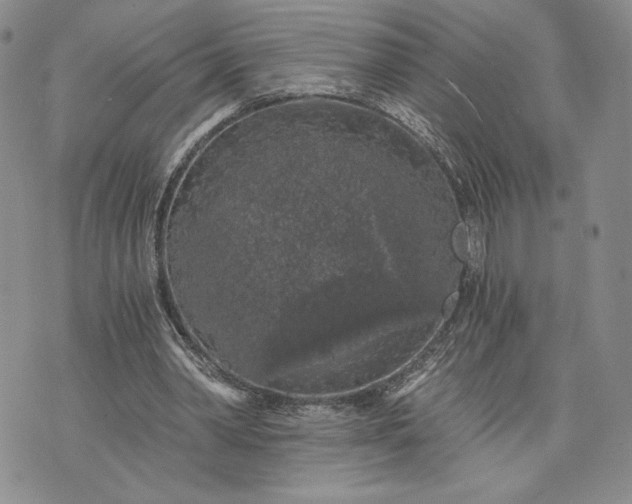 X0000072960390200608041158