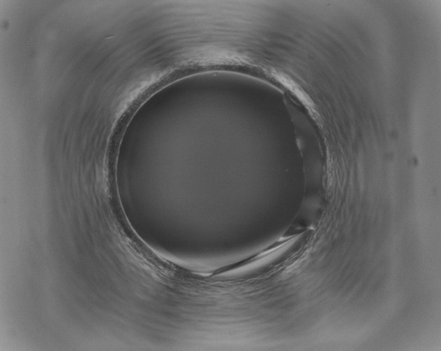 X0000072960391200608041158