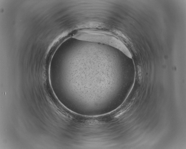 X0000072960392200608041158