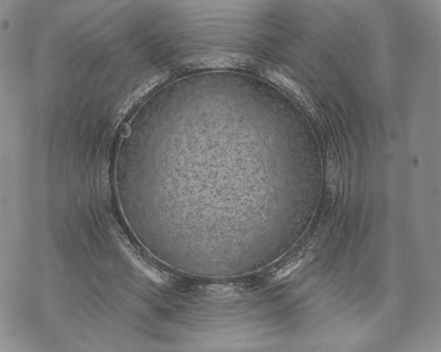 X0000072960394200608041158