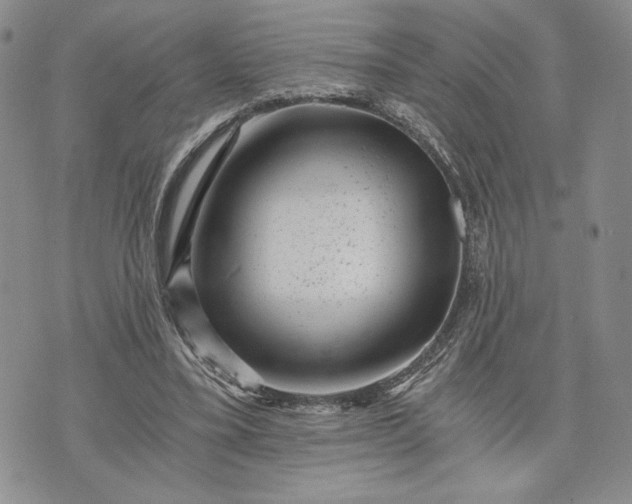 X0000072960395200608041158