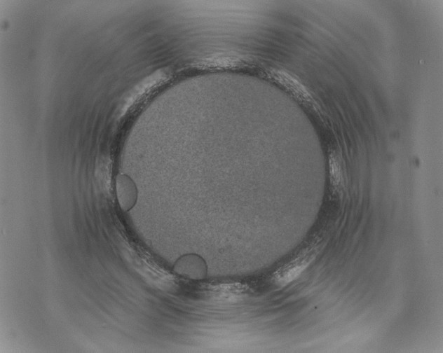 X0000072960396200608041158