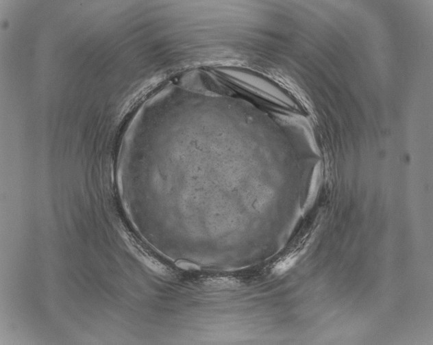 X0000072960397200608041158