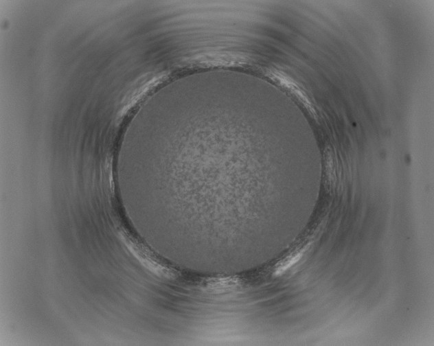 X0000072960398200608041158