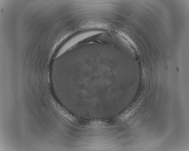 X0000072960399200608041158