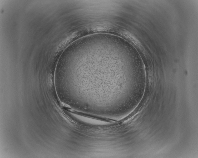 X0000072960401200608041158