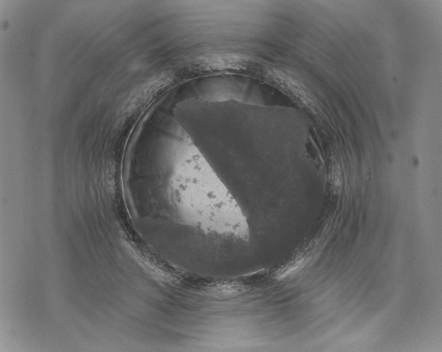 X0000072960402200608041158