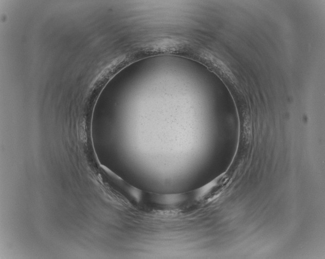 X0000072960403200608041158