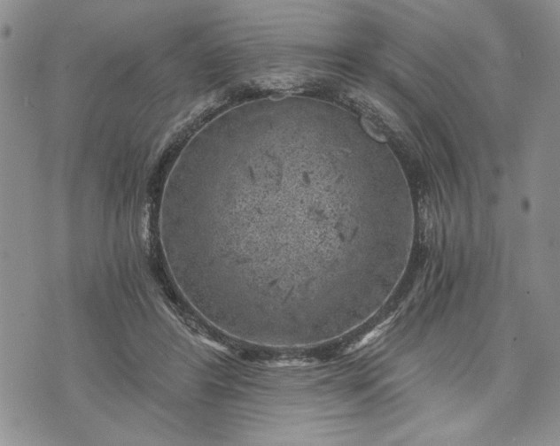 X0000072960404200608041158