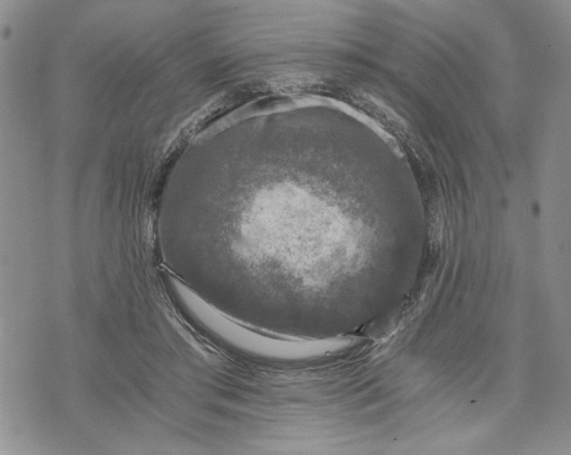 X0000072960405200608041158