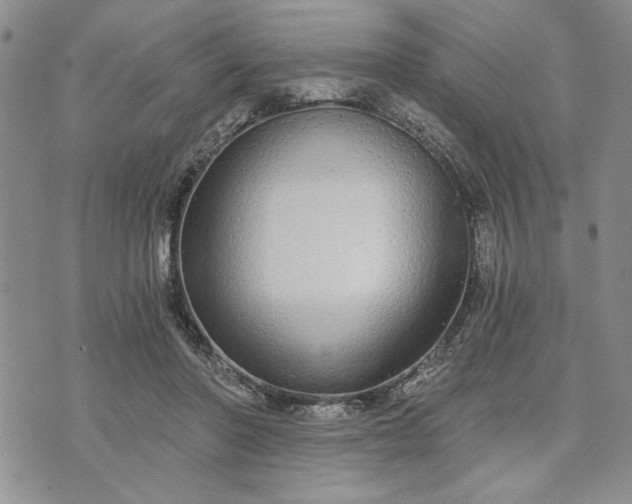 X0000072960406200608041158