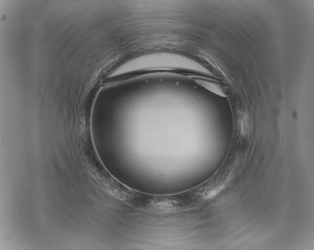 X0000072960407200608041158