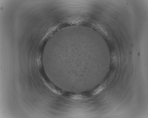 X0000072960408200608041158