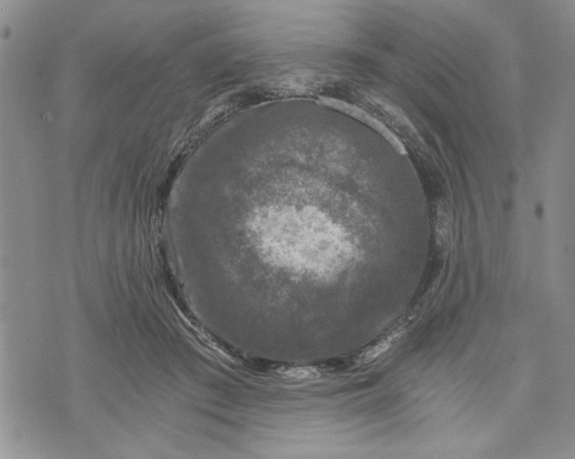 X0000072960409200608041158