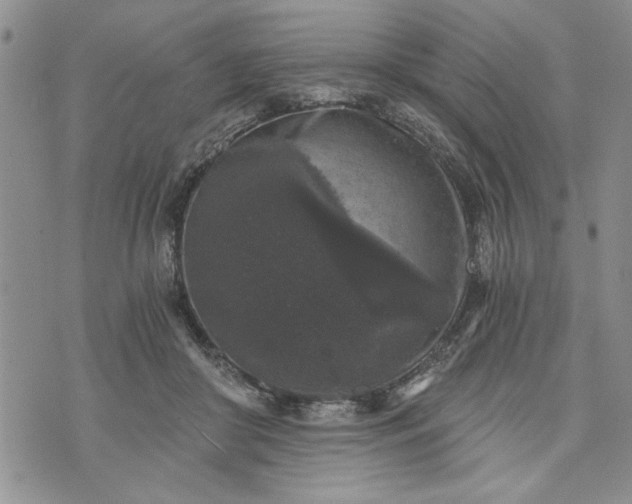 X0000072960410200608041158